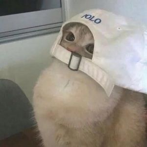 Meet your Posher, Ying